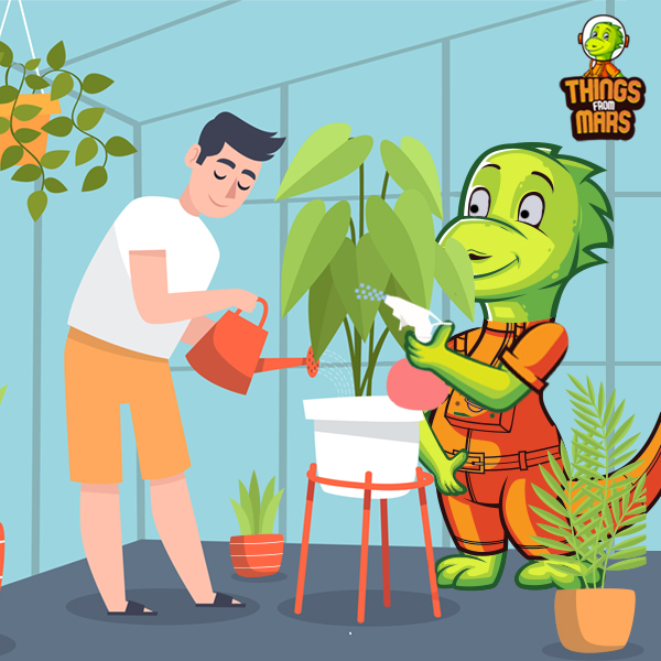 Unique and Thoughtful Presents for Plant Lovers